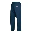 Amsal Inc. - Pioneer FR-Tech FR safety pant V2540530_back.webp