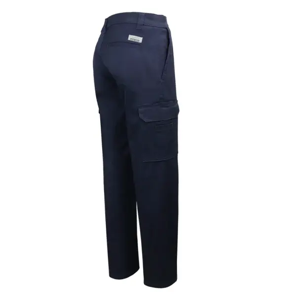 Amsal Inc - Gatts lined cargo pant 011EXD_back.webp