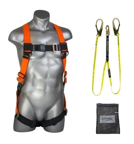 Kit de harnais et longe avec absorbeur d'énergie en Y Guardian